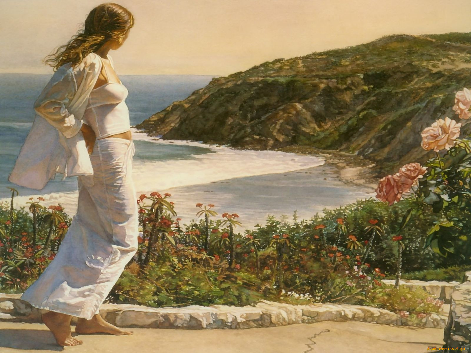 steve, hanks, 